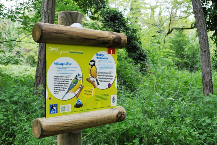 Randonnée : Parcours pédagogique des oiseaux
