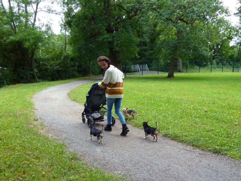 Randonnée : Balade à Roulettes n°49 Le parc de Liben à Serres-Castet