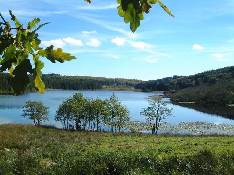 Randonnée : Sentier de Millevaches aux Oussines - 13 km