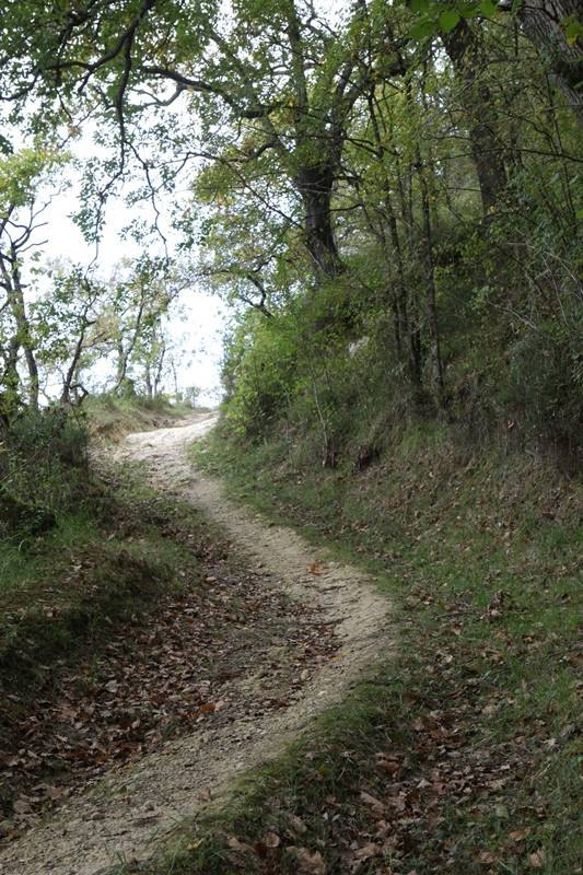 Randonnée : A Geaune, circuit de Paouilhé