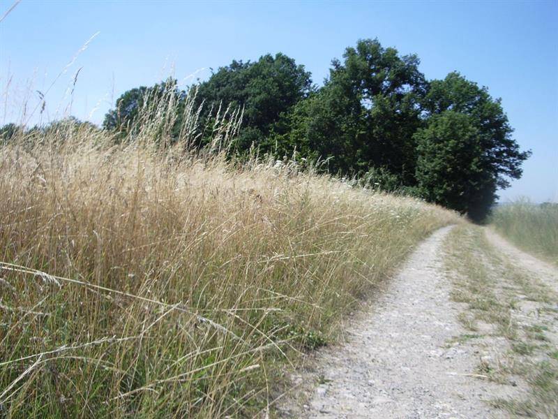 Randonnée : Circuit cyclable entre Hérapel et Berges de la Rosselle
