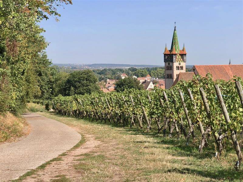 Randonnée : Circuit du Piémont - ancienne voie romaine
