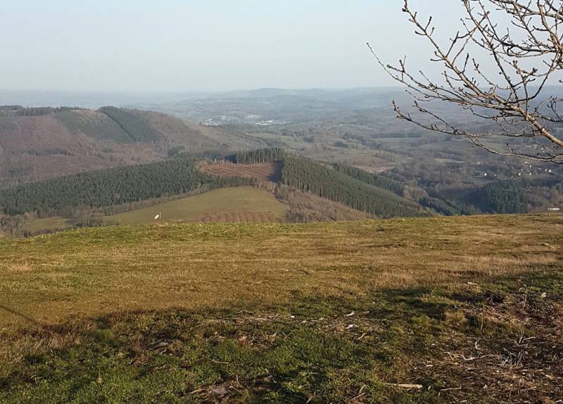 Randonnée : Trail de Veix : A l'assaut du Puy de la Monédière