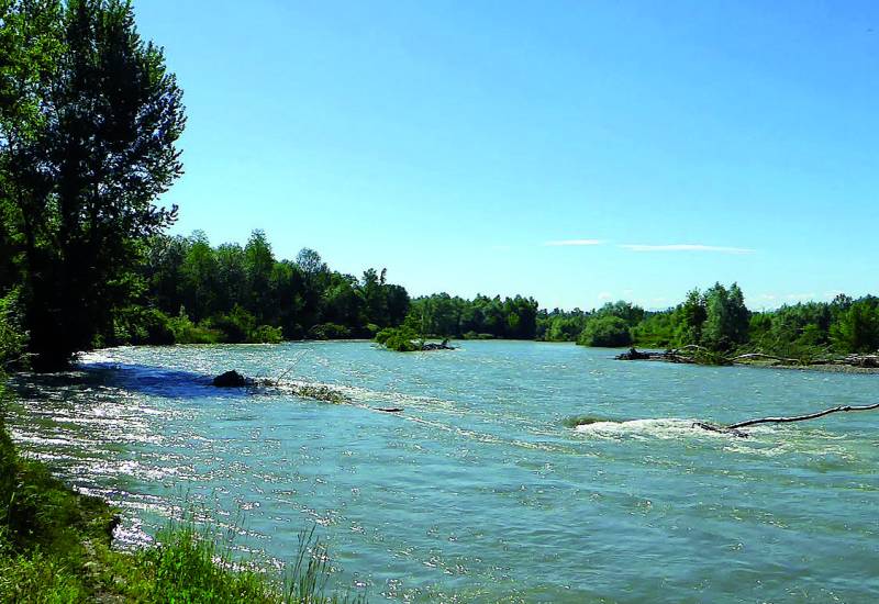 Randonnée : Berges du Gave