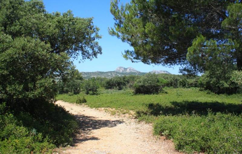 Randonnée : EYGUIÈRES - La Routo : le massif du Défends