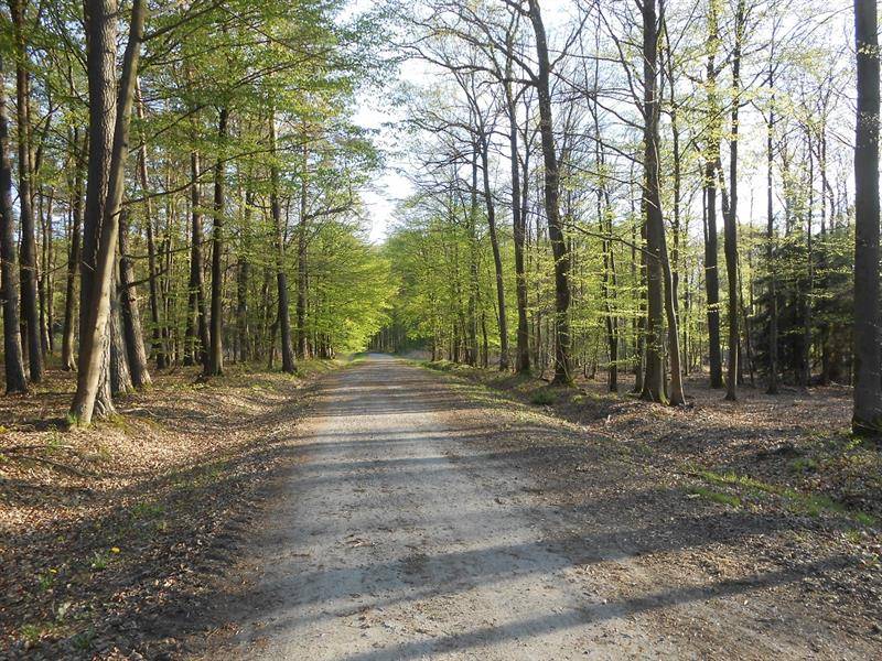 Randonnée : Circuit découverte Oderfang