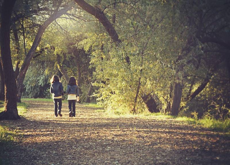 Randonnée : Balade à pied en famille : Découverte du Montaurat