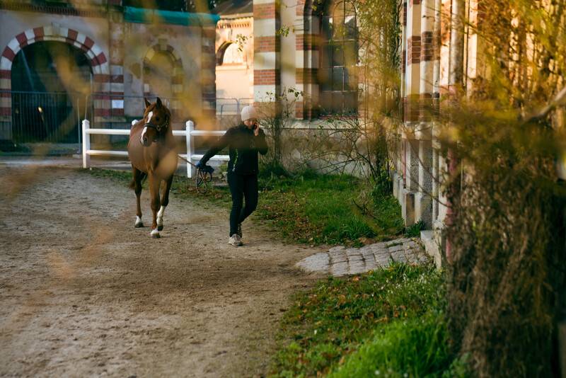 Randonnée : La Rando des Haras Nationaux - Haras National de Saint-Lô - Baudre