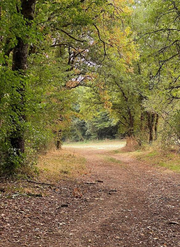 Randonnée : Boucle des mines et carrières