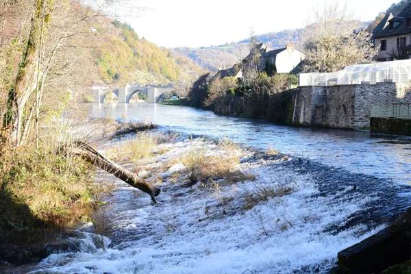 Randonnée : Le Lot à Entraygues-sur-Truyère (lâchers de truites)
