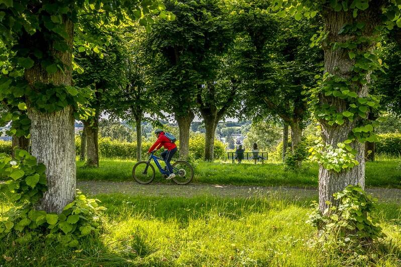 Illustration : Base VTT sud du Perche - Vers le bois de la Bulière C14