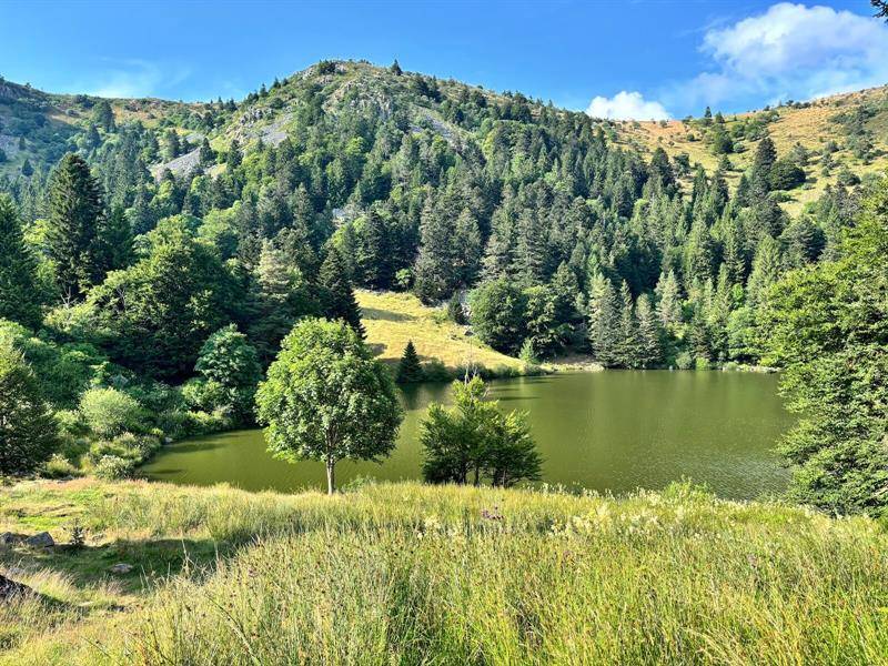 Randonnée : Circuit rando - le tour des 4 lacs