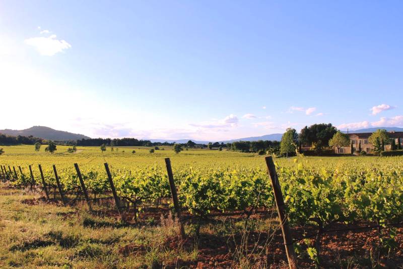 Randonnée : Sentier vigneron de Château Paradis