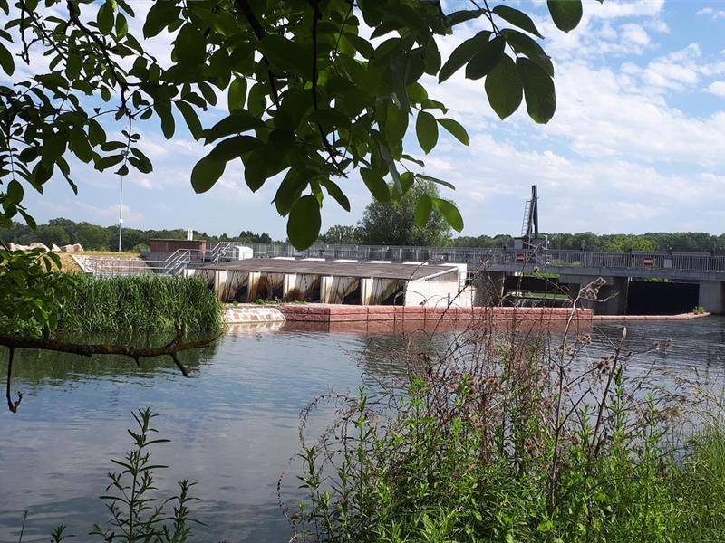 Randonnée : Sentier du Bronnwasser