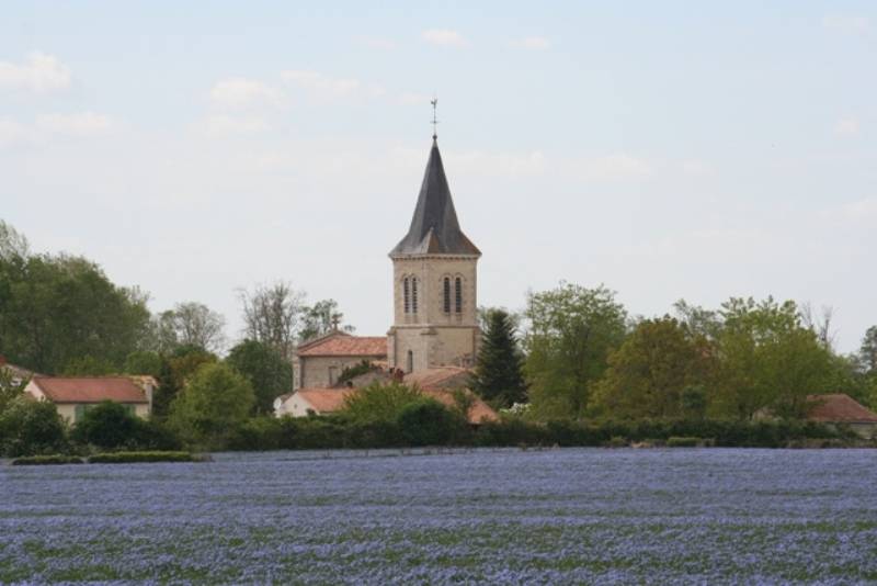 Randonnée : À la découverte du village d'Amuré