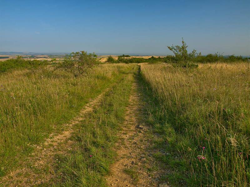 Randonnée : Les sources de l'Elme