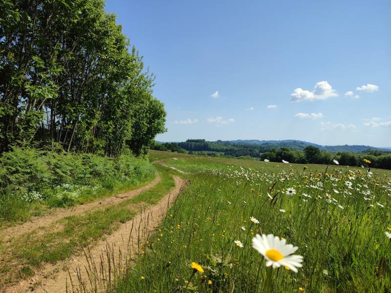 Randonnée : GRP®Monts et Barrages en Limousin - Etape 2 - De Bujaleuf à Saint-Julien-le-Petit