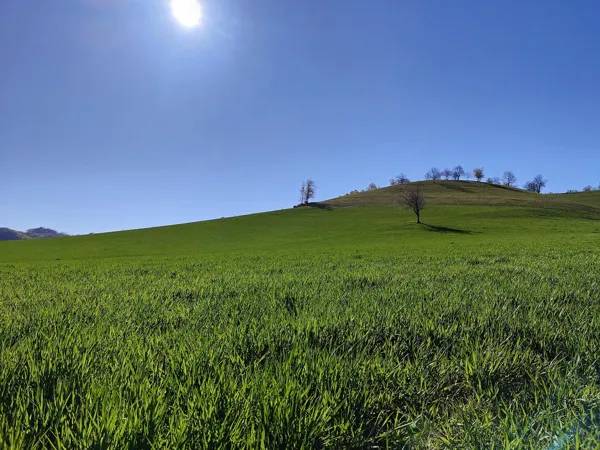 Randonnée : Trail d'Aqui - Villecomtal