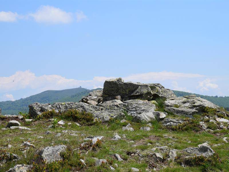 Randonnée : ECOBALADE - Circuit du Hohfried