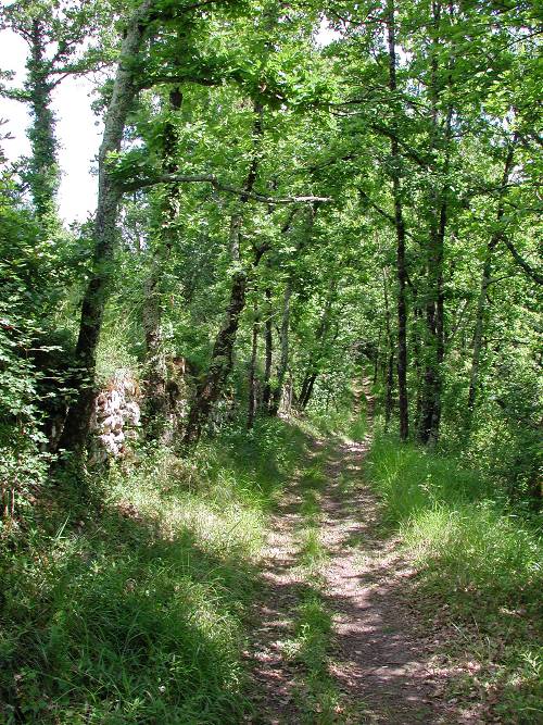 Randonnée : Dondas, balade dans les coteaux du Pays de Serres