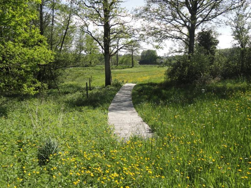 Randonnée : Sentier du bois des Chapelles