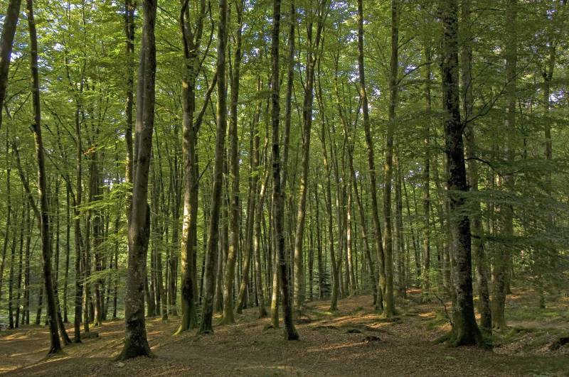 Randonnée : Circuit Trail n°3 : La grande carrière