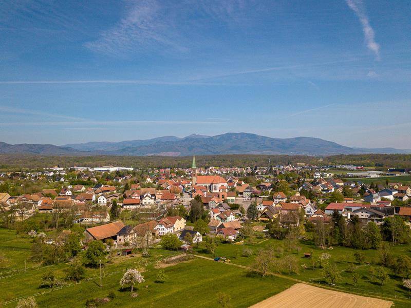 Randonnée : Balade ludique à Burnhaupt-le-Haut