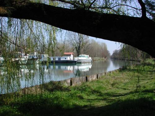 Randonnée : Buzet, un port entre Canal et Baïse