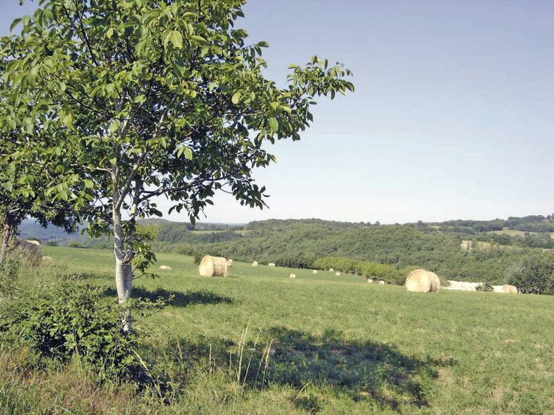 Randonnée : Le Vert , la Belle et les Châteaux