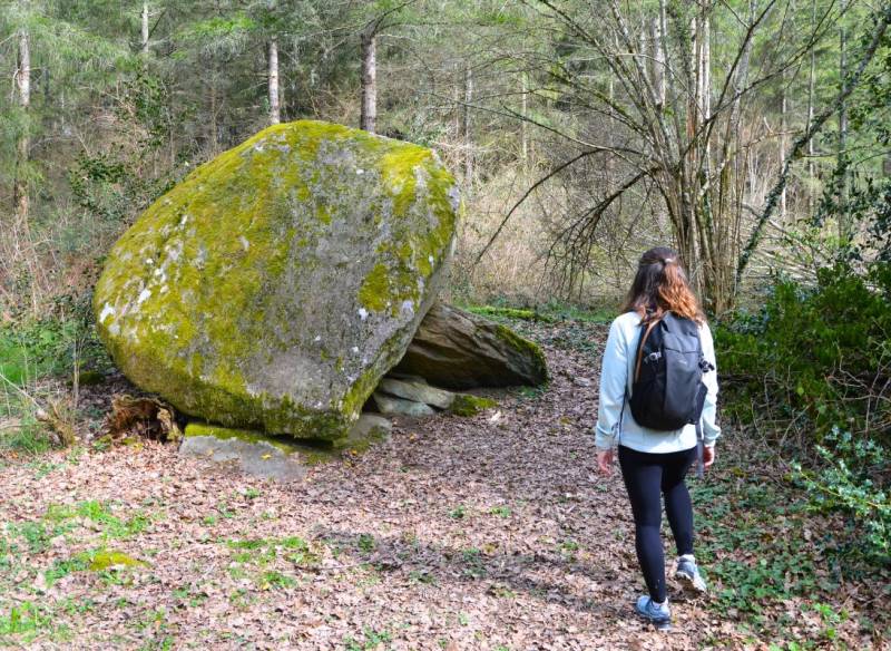 Randonnée : Circuit du dolmen de la Goupillère