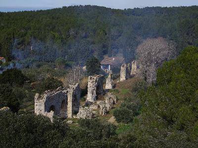 Randonnée : Fontvieille et son patrimoine culturel et naturel