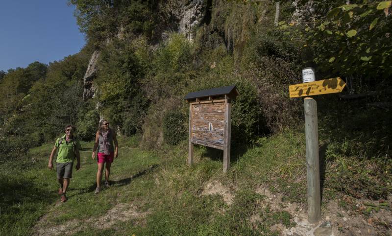 Randonnée : N°9 Aspe - Roche qui pleure