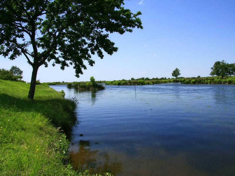 Randonnée : A Audenge, sur le Domaine de Graveyron entre terre et eaux