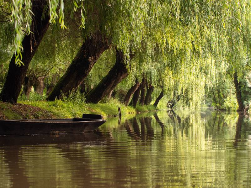 Randonnée : Excursion familiale en canoë kayak dans le marais du Vanneau par Romain Gaillard