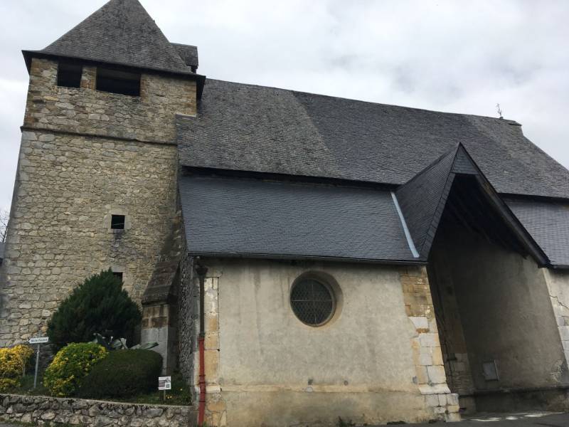 Randonnée : La tourbière