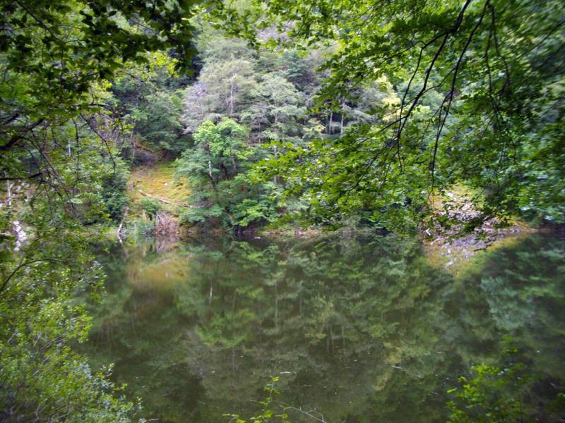Randonnée : Sentier des gorges