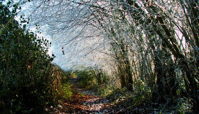 Randonnée : Circuit VTT n°36
