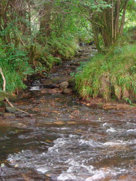 Randonnée : Les Vieux Chemins d'Auvergne