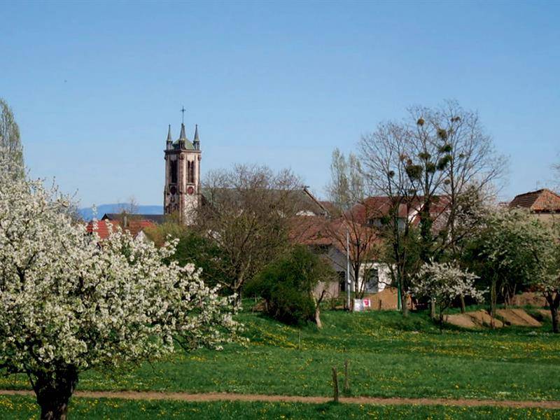 Randonnée : A la découverte de Sausheim