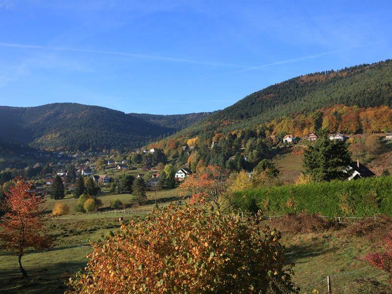 Randonnée : Circuit du Panorama Sud - marche nordique