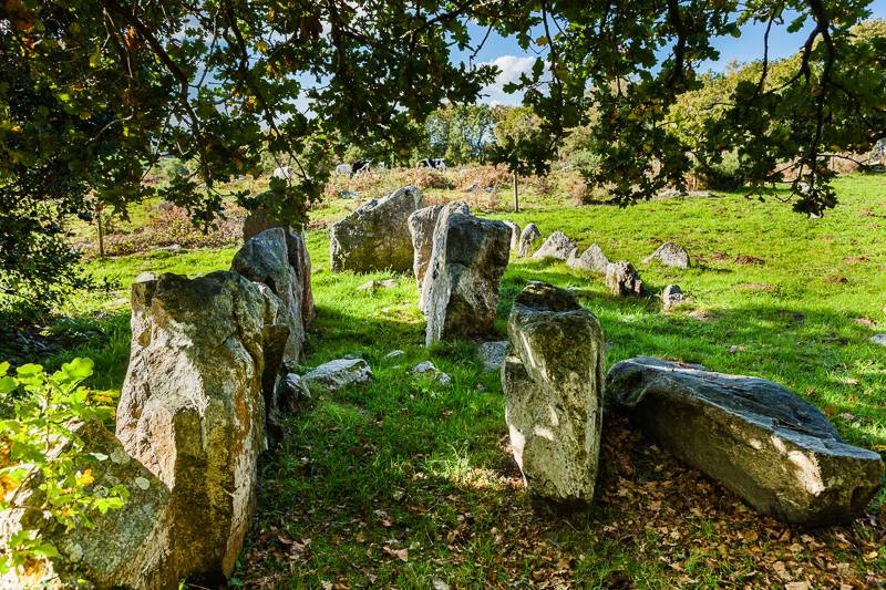 Randonnée : Les vieilles pierres du mont Castre - Randonnée