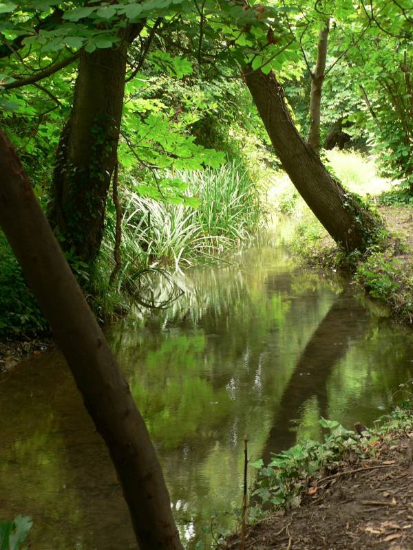 Randonnée : Bouches-du-Rhône en Paysages - Maussane, au fil de l'eau