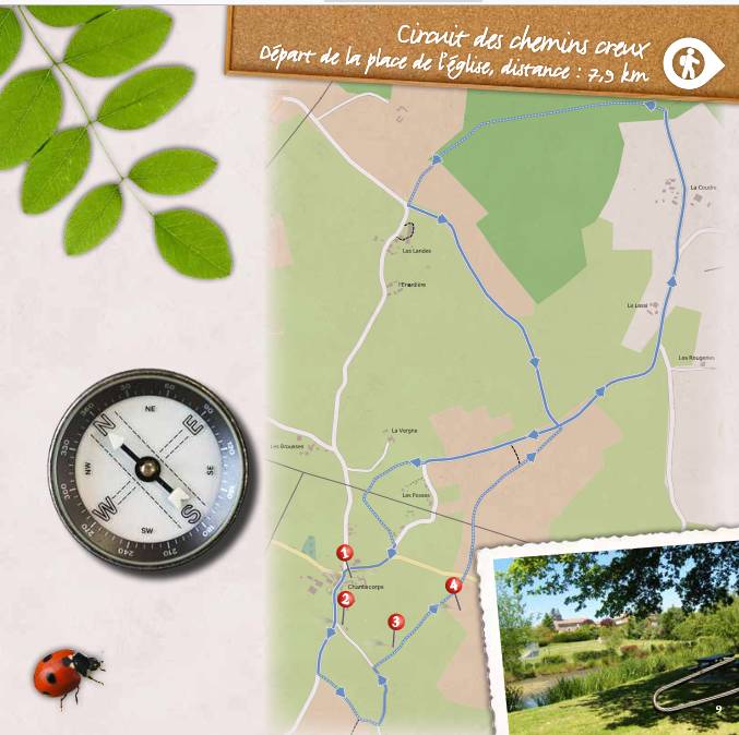 Randonnée : Circuit des chemins creux