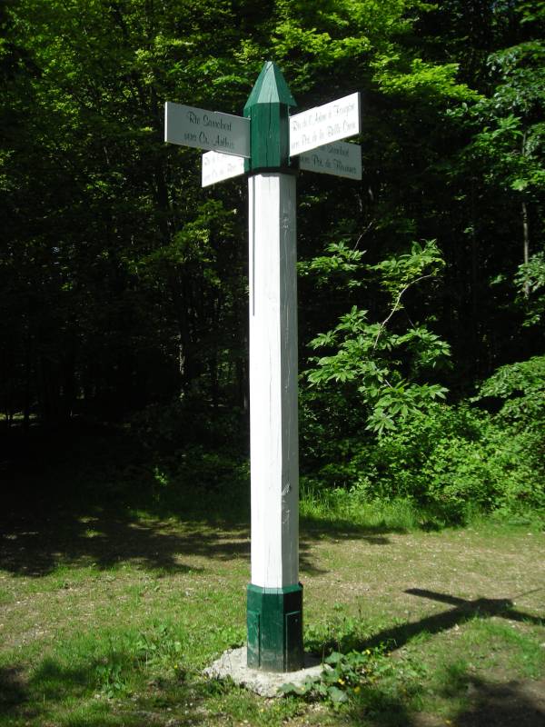 Randonnée : GR® 12 B d'Aumont-en-Halatte au Mont-Pagnotte