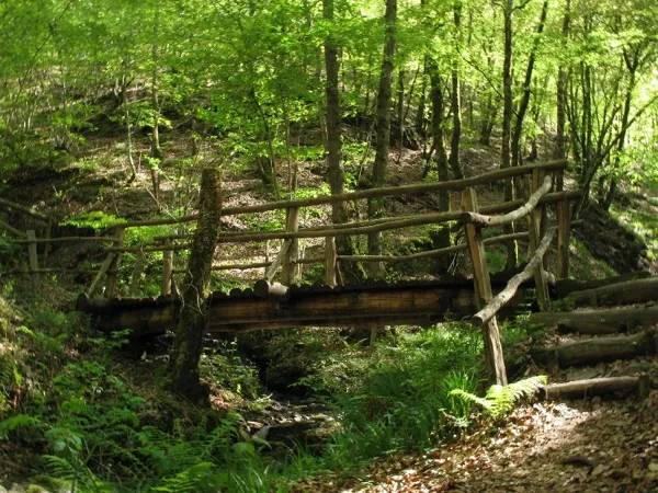 Randonnée : Sentier de l'imaginaire : circuit "la Forêt Magique"