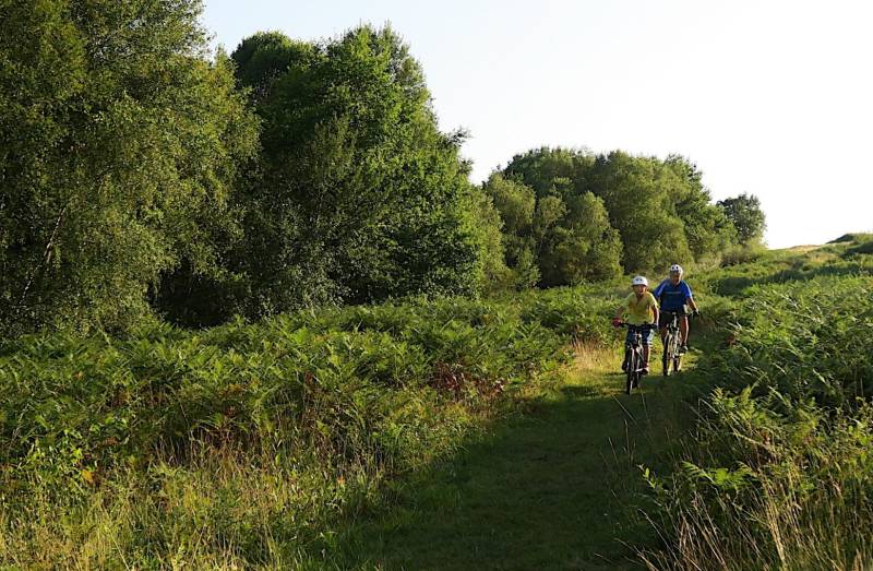 Randonnée : VTT N°73 - Bois de Haut