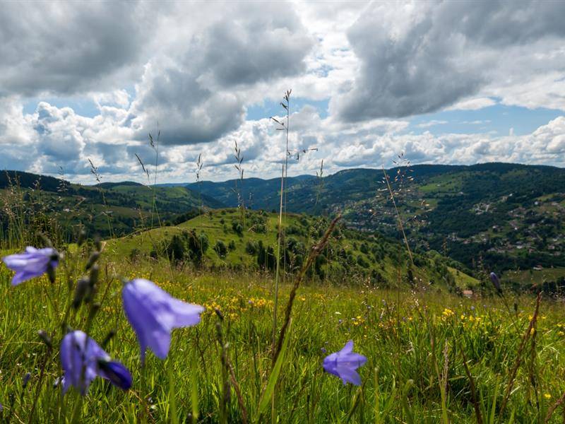 Randonnée : Trail circuit n°6 la crête de moyenmont à La Bresse