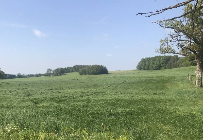 Randonnée : Circuit pédestre n°AU1 D'Aulon à Augères