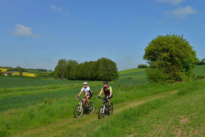 Randonnée : Les bois de Mottereau