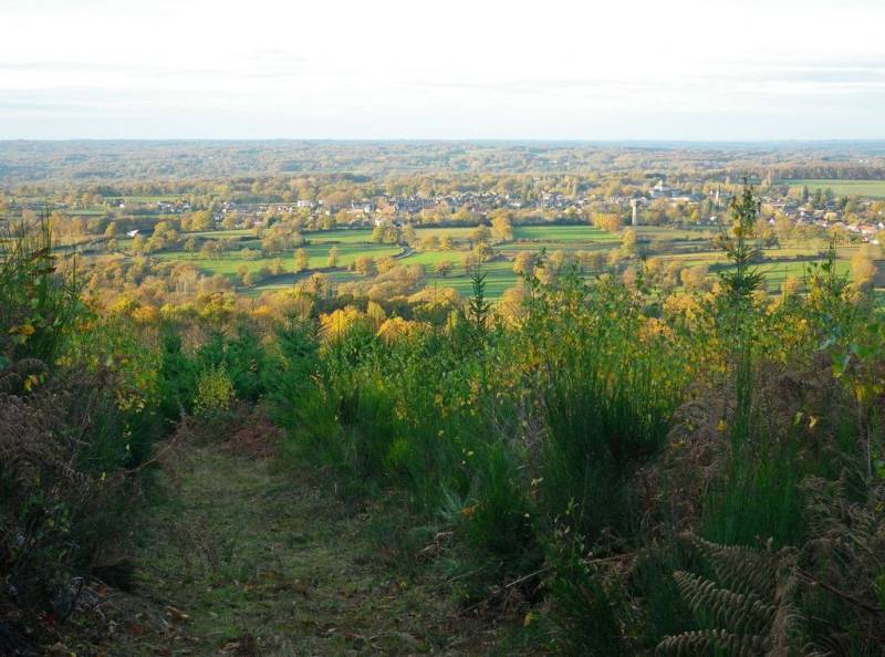 Randonnée : Circuit pédestre Entre bois et vallons DP1